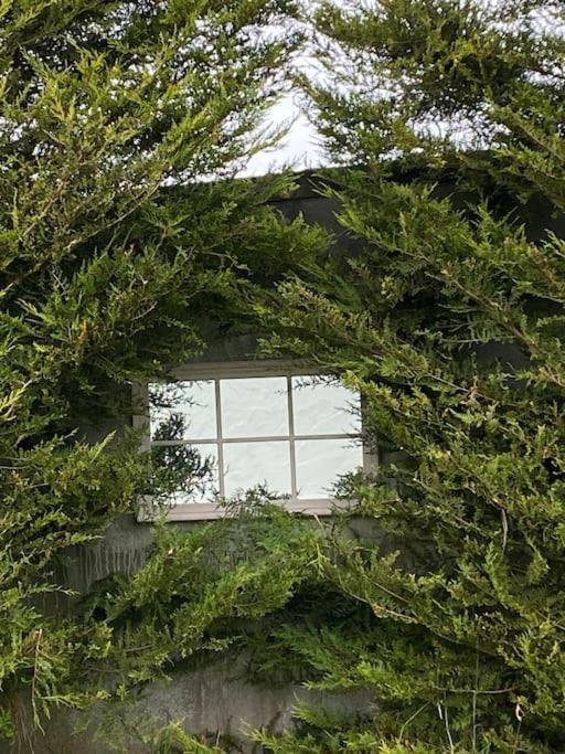 Breathnach Cottage Annex Knockleagha Ballina F26 D7E2 Exterior foto